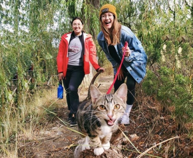Pickle the cat, hiking in Kamloops with owner Jasmine McDaniels. 
