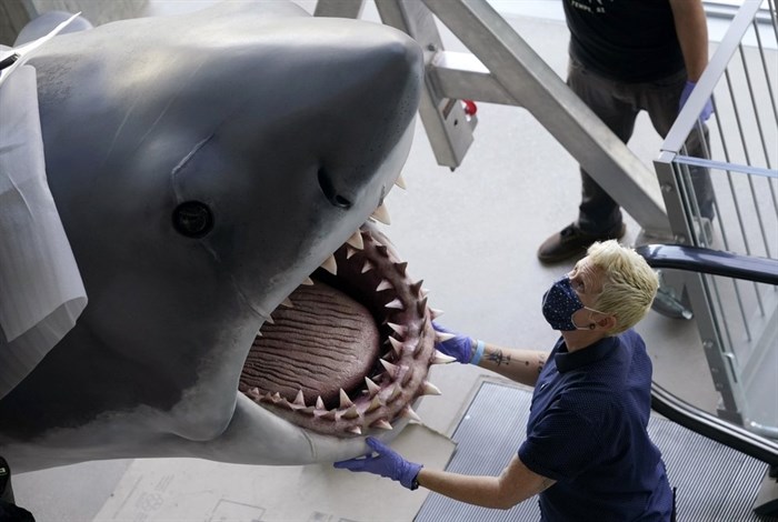 Phyllis Cottrell, exhibitions installation manager for new Academy of Museum of Motion Pictures, watches over a fiberglass replica of Bruce, the shark featured in Steven Spielberg's 1975 classic 