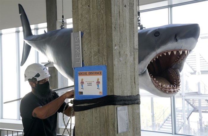 A fiberglass replica of Bruce, the shark featured in Steven Spielberg's classic 1975 film 