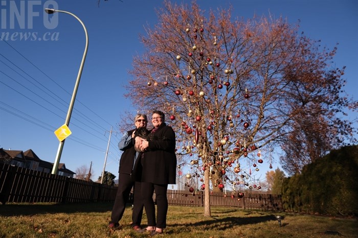 Morgan and Kathryn Heaney stand outside of their Christmas oak tree on Richter Street in 2020. The couple have been decorating the three every year since 2005.