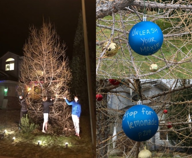 Kamloops resident Tamara Vukusic celebrated the launch of Obittersweet: Life Lessons from Obituaries by decorating her tree with nuggets of wisdom from her book. 