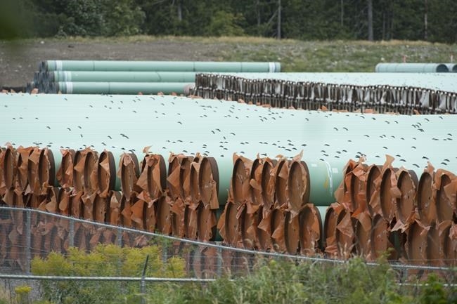 Contractor seriously injured at Trans Mountain site in B.C., construction stopped | iNFOnews - Vimarsana News