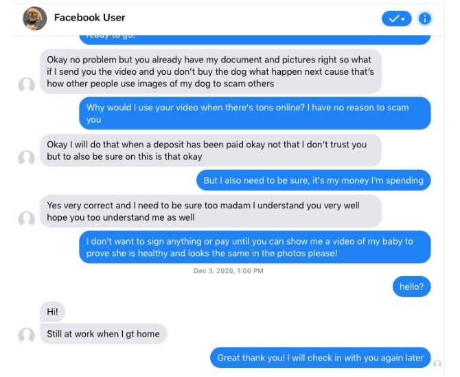 This was the end of a conversation with a page selling Schitzu puppies from California. It was deleted within hours of their last reply. 