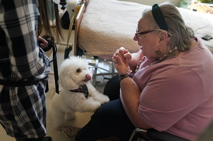 Eileen Nagle, 79, talks with Zeus, a bichon frise, as he visits her room at The Hebrew Home at Riverdale in New York, Wednesday, Dec. 9, 2020. New dog recruits are helping to expand the nursing home's pet therapy program, giving residents and staff physical comfort while human visitors are still restricted because of the pandemic. 
