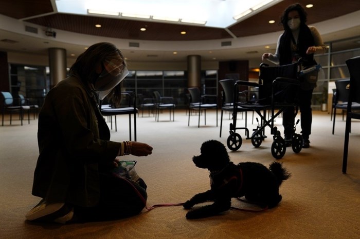 Owner Joy Solomon, left, and therapeutic activities staff member Olivia Cohen work with Redwood, a poodle, to accustom him to common nursing home sights, such as wheelchairs, at The Hebrew Home at Riverdale in New York, Wednesday, Dec. 9, 2020. New dog recruits are helping to expand the nursing home's pet therapy program, giving residents and staff physical comfort while human visitors are still restricted because of the pandemic.