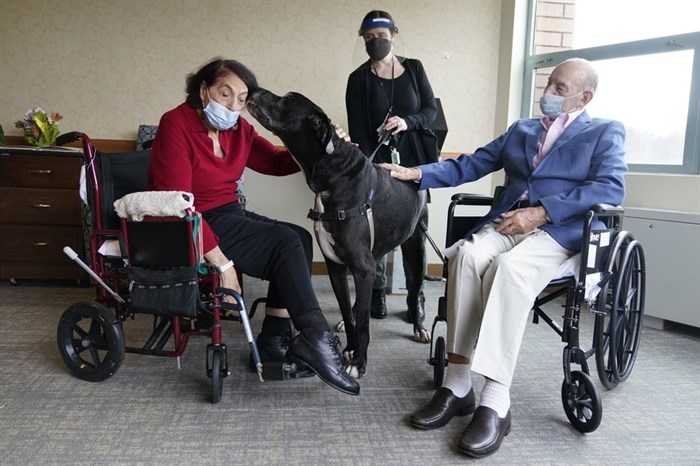 Sal Markowitz, 96, right, and Sandra Greer, 82, left, visits with Marley, a Great Dane, while therapeutic activities director Catherine Farrell looks on at The Hebrew Home at Riverdale in New York, Wednesday, Dec. 9, 2020. New dog recruits are helping to expand the nursing home's pet therapy program, giving residents and staff physical comfort while human visitors are still restricted because of the pandemic.