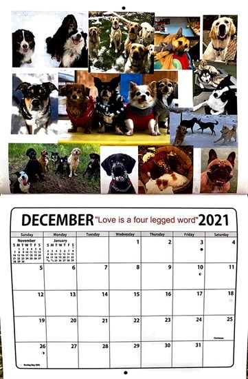 The 2021 calendar is full of photos of man's best friend.