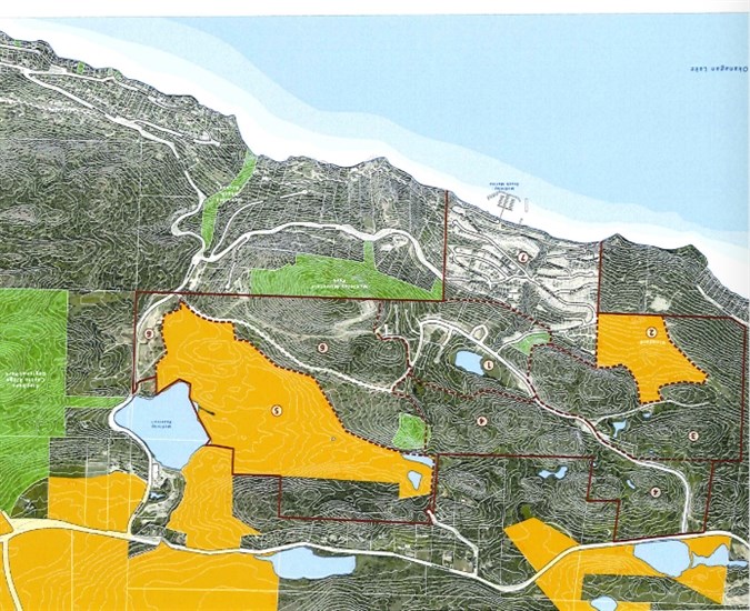 The lands marked in yellow on the left side of this drawing could become City of Kelowna parkland if council approves an offer from a developer. The other yellow parcels will likely be protected but won't necessarily become parks.