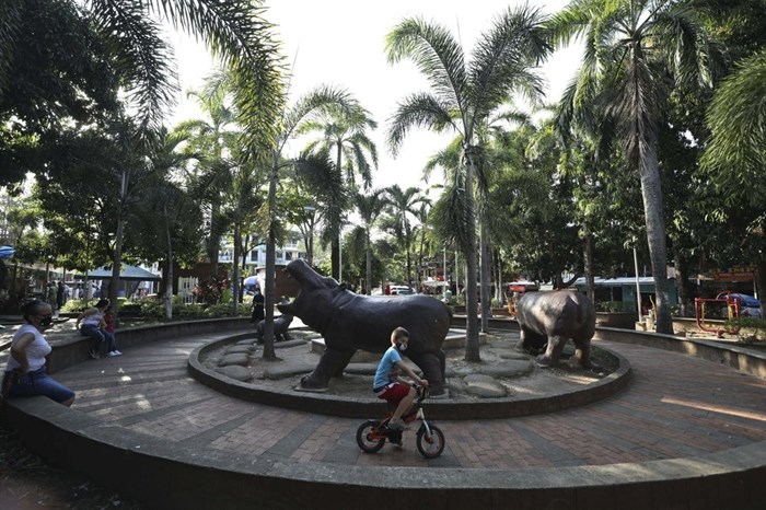 A boy rides his bicycle in a park decorated with hippo statues in Doradal, Colombia, Thursday, Feb. 4, 2021. Pablo Escobar and his Cartel de Medellin are long dead, but the hippos from his personal zoo continue to flourish in tropical countryside and wetlands in and around his former hacienda. 