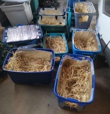 Oswell built the shelters out of plastic totes, then taped RV insulation to the walls and filled with straw to make a comfortable temporary home for feral cats.