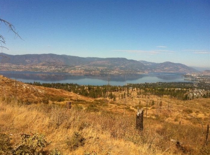 This land will remain undeveloped for far into the future after Kelowna city council nixed the Thomson Flats housing proposal.