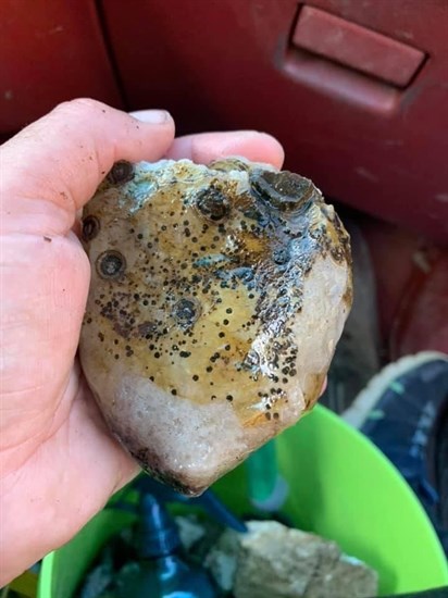 A rock found by Tammy-Lynn Post near Monte Lake. 