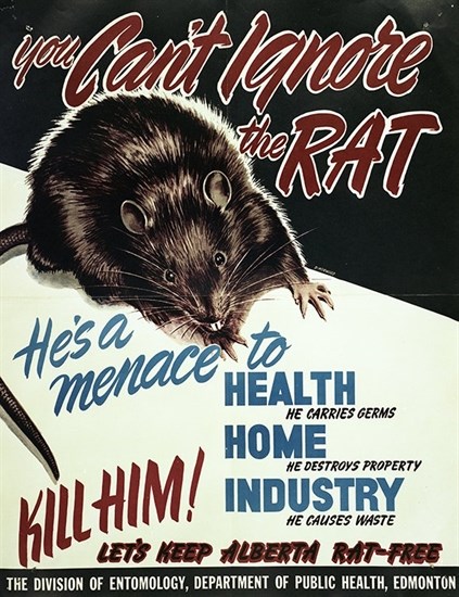 An Alberta government rat poster cicra 1950.
