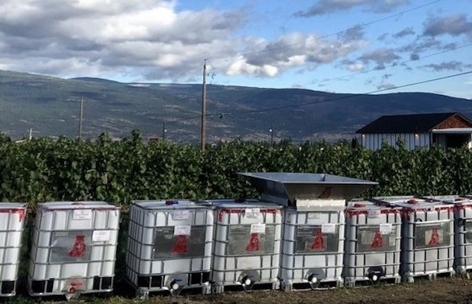 A recent pilot program by the Okanagan's Winecrush saved 150 tonnes of grape waste products from the landfill.