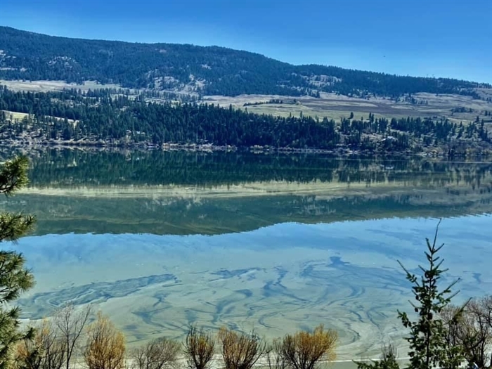 New reporting tool to identify potentially harmful algae in B.C. lakes | iNFOnews - Vimarsana News