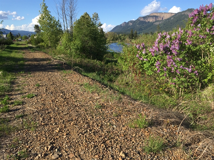 Rail trail to connect Enderby and Splatsin gets boost of nearly $460,000 | iNFOnews - Vimarsana News