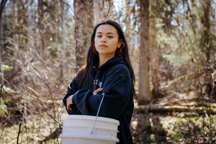 Seeing the forest for the trees: searching for solutions in B.C.'s Kispiox Valley | iNFOnews - Vimarsana News