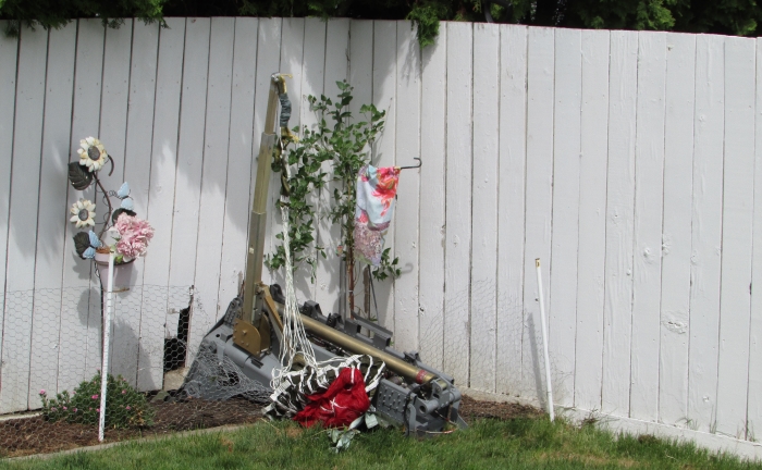 ONE YEAR LATER: Memories of Snowbird crash fresh in minds of Kamloops residents | iNFOnews - Vimarsana News