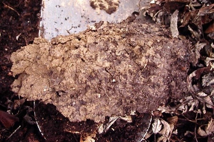 This undated photo shows a shovelful of soil in New Paltz, N.Y. Good care, mostly by regularly adding plenty of organic materials and avoiding compaction, results in a soil with many pore spaces, some to retain water and some for air.
