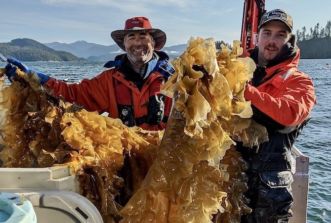 A new week-long conference on seaweed — with political heavy-hitters in attendance — reflects a rising tide of international interest in seaweed farming.