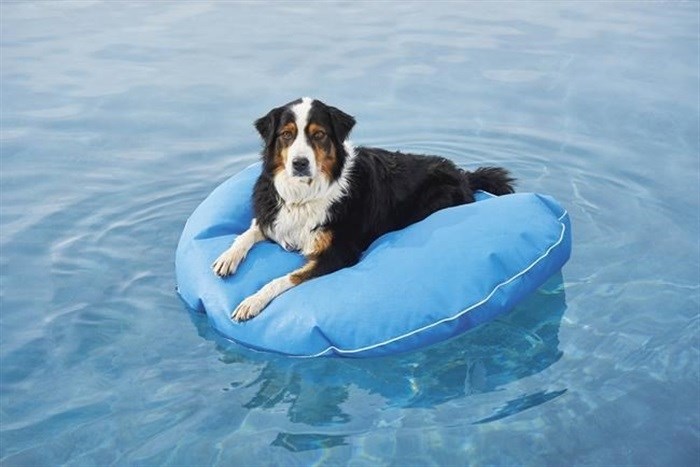 This image provided by Frontgate shows an inflatable for dogs. Don't forget the family pets; a nonporous, puncture-resistant floating dog bed at Frontgate comes in a bunch of colors and three sizes.