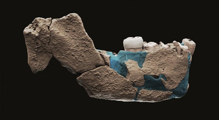 This undated image provided by Tel Aviv University in June 2021 shows a virtual reconstruction of a human ancestor mandible found in Nesher Ramla, Israel. On Thursday, June 24, 2021, scientists reported that bones found in an Israeli quarry are from a branch of the human evolutionary tree and are 120,000 to 140,000 years old. 