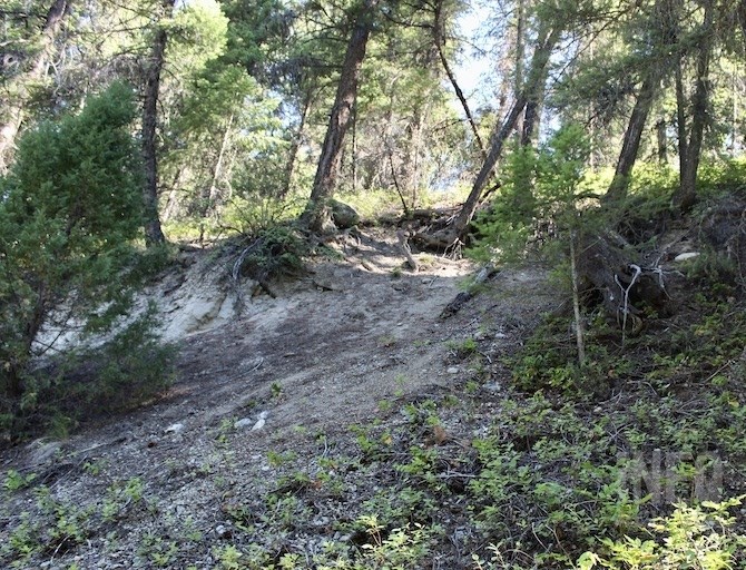 The steep slopes are already stuffing in places where the road was built.