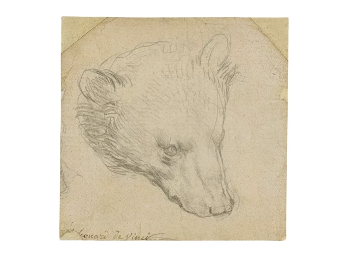 The Bear’s Head sketch - attributed to Leonardo da Vinci - sold for $12.1 million last week at Christie’s in London, 3” x 3”.
