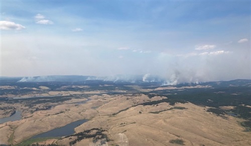 Fire Guards Challenged By Growth At White Rock Lake Wildfire Near Westwold Infonews Thompson Okanagan S News Source