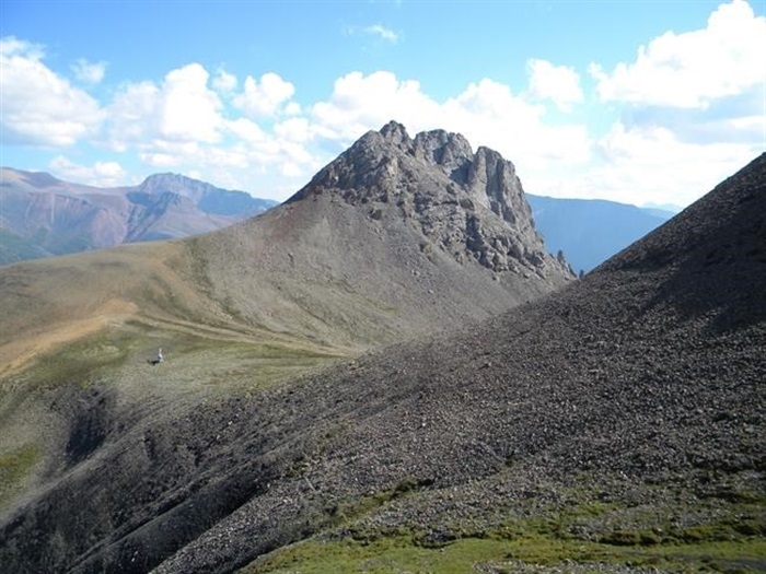First sign of animal life on Earth may be a sponge fossil | iNFOnews | Thompson-Okanagan's News Source - Vimarsana News
