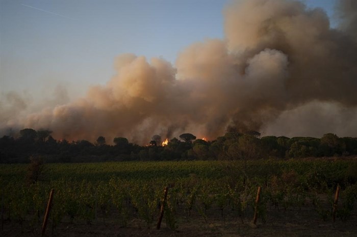 FILE - In this Aug.1 7, 2021 file photo, a fire rages over the Chateau des Bertrands vineyard in Le Cannet-des-Maures, southern France. Winemakers near the French Riviera are taking stock of the damage after a wildfire blazed through a once picturesque nature reserve near the French Riviera. The blaze left two people dead, more than 20 injured and forced some 10,000 people to be evacuated.