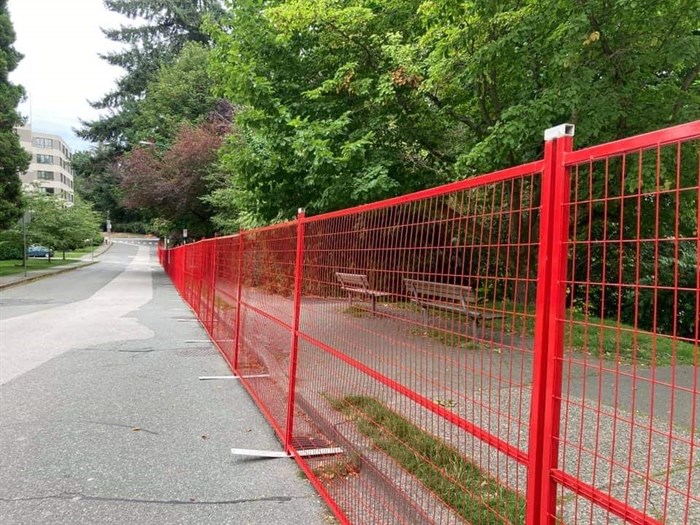 Many parts of Stanley Park in Vancouver are fenced off to prevent the public from encountering coyotes and interfering with active traps.