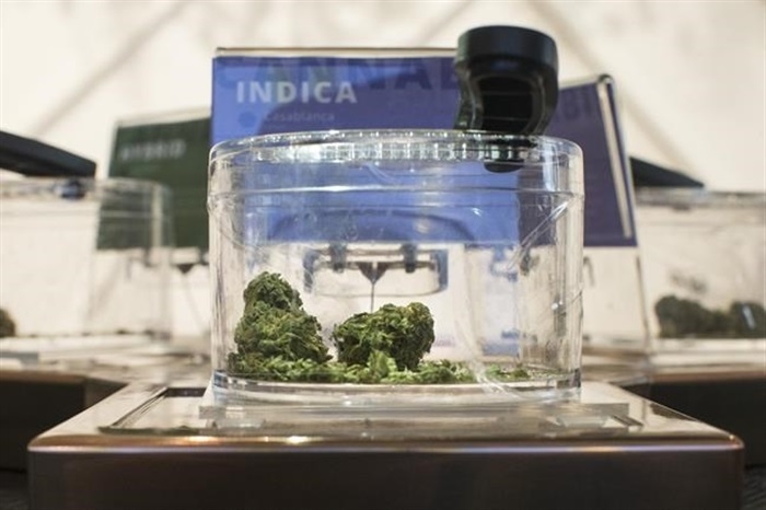 Cannabis is shown in a display jar on the first morning of opening for Toronto's "The Hunny Pot," one of the retail stores licensed to sell Cannabis in Ontario, on Monday, April 1, 2019.