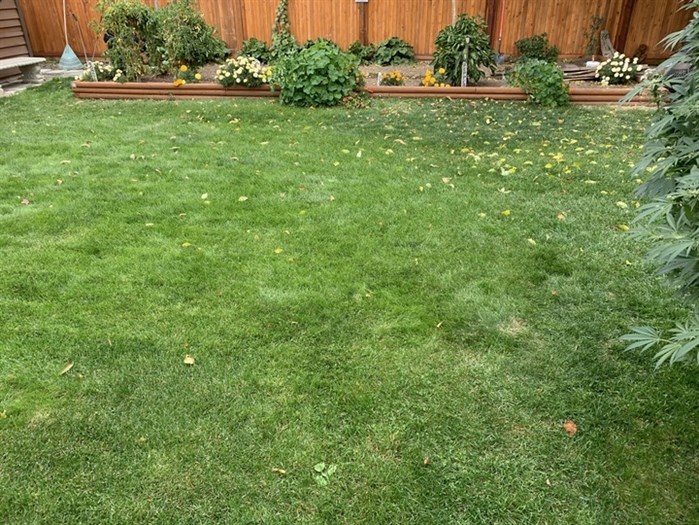 Frostier nights are coming and homeowners are winterizing lawns and gardens.