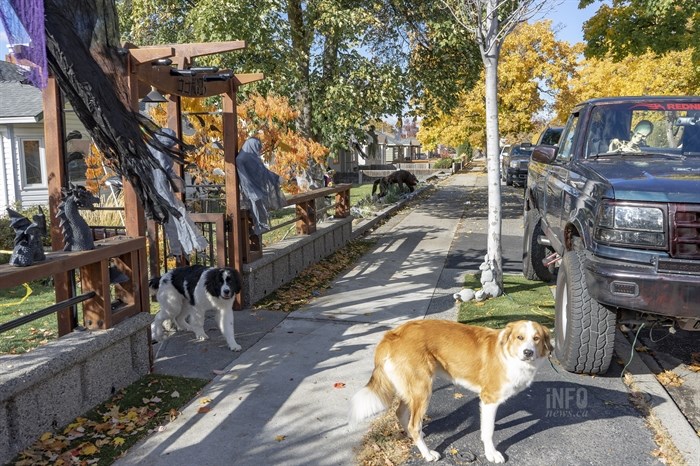 As Halloween approaches, it can be difficult to decipher the living from the dead on Penticton's K Streets.