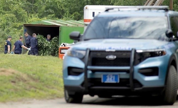 Maine State Police officers load marijuana plants July 21, 2020, into a shipping container on a truck behind Narrow Gauge Distributors at 374 High St. in Farmington, Maine. The business is included in a federal complaint unsealed Wednesday alleging illegal marijuana growth and sales that also implicates a county prosecutor, three former sheriff's deputies, a police officer and an elected town official.