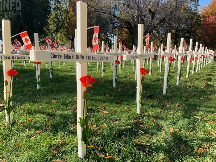 The Field of Crosses on display in Kelowna's City Park for Remembrance Day.