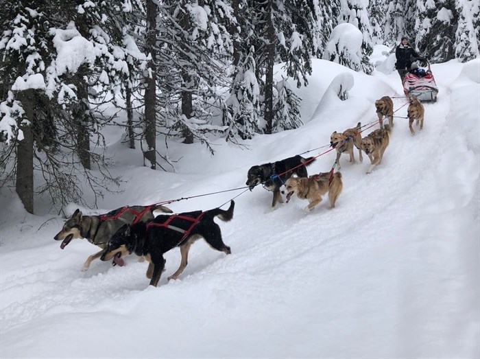 Mountain Man Dog Sled Adventures is getting ready for another season.