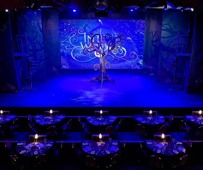 Curtain Call? Kelowna Actors Studio raises alarm over region's pandemic