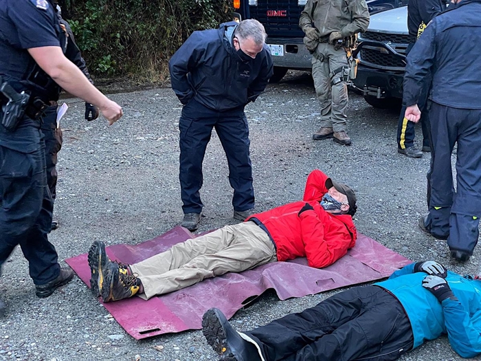 Seniors protesting the logging of old-growth forests in the Fairy Creek region on Vancouver Island were arrested by RCMP.