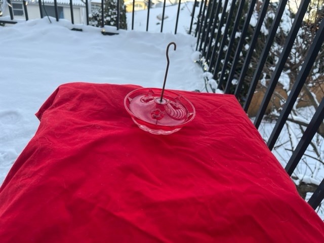 A heating blanket is left underneath a bird feeder to prevent the nectar from freezing.