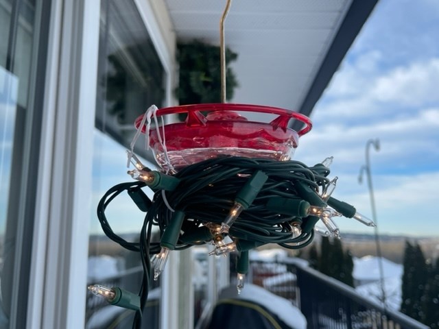 Christmas lights can be used to warm a hummingbird feeder in the winter. 