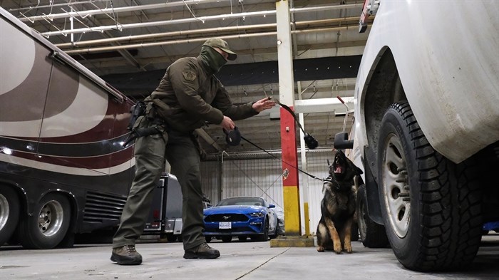 Cst. Kent Wagner rewards his dog Mysan after a training exercise to find illicit drugs, Feb. 4, 2022.