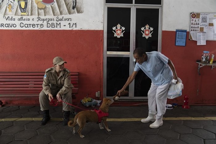 A man gives a toy to rescue dog Caramello, held on a leash by handler Lt. Tatiana Gaiao, at the Catete Fire Brigade in Rio de Janeiro, Brazil, Tuesday, April 12, 2022.