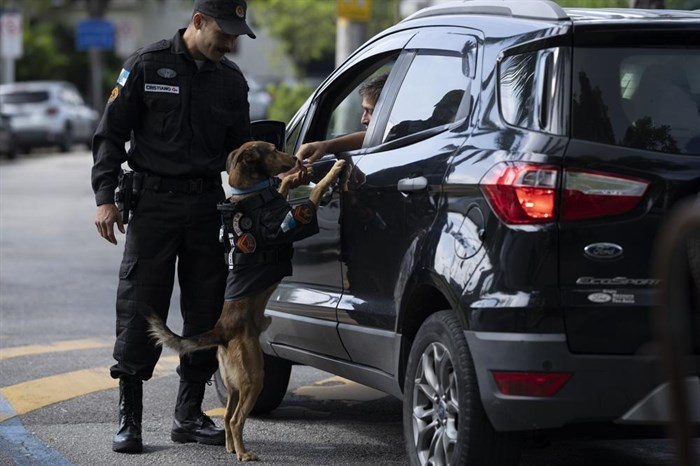 A driver stops to pet police dog 