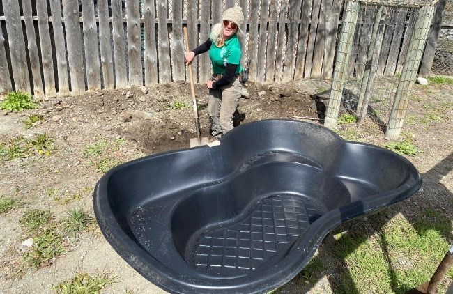 A B.C. Wildlife Park employee builds a makeshift pond to separate swans from wild migrating birds that stop in the park.