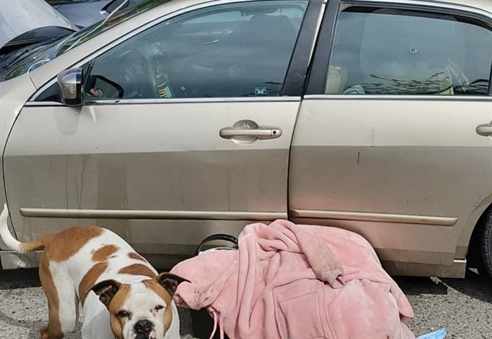 A Kelowna couple and their dog lived in a car in Kelowna for over a month after their truck and trailer was towed in April, 2022.