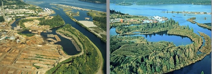Aerial photos from the mid-1990s and 2009 illustrating the restoration of the Baikie Island Reserve.