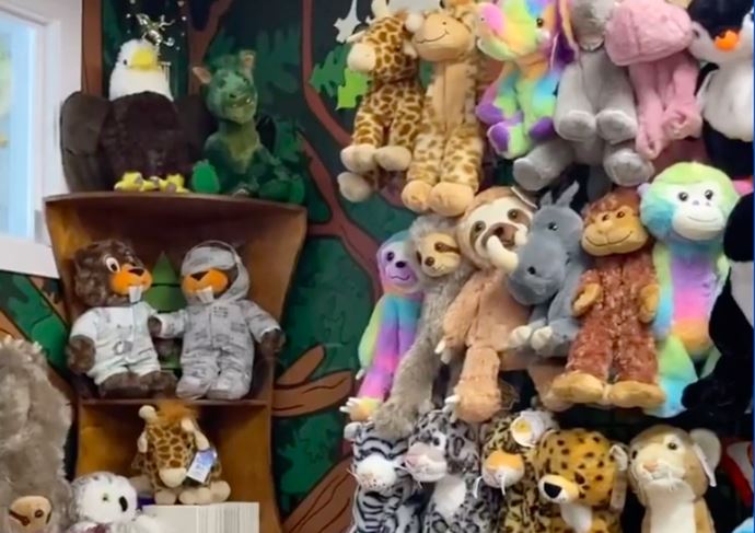 Build your own stuffed animal store opens in Okanagan | iNFOnews |  Thompson-Okanagan's News Source