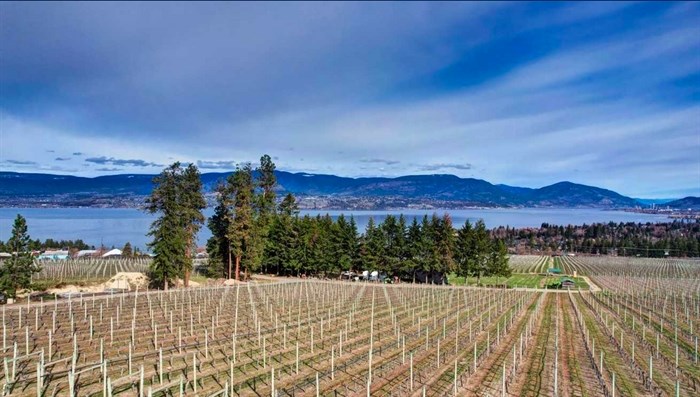 Two homes and 25 acres of vineyards are for sale for $18.5 million.